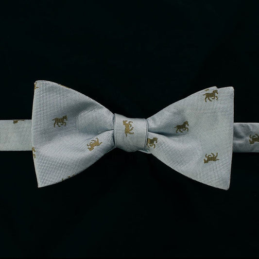 Gray blue men's tie and self tie