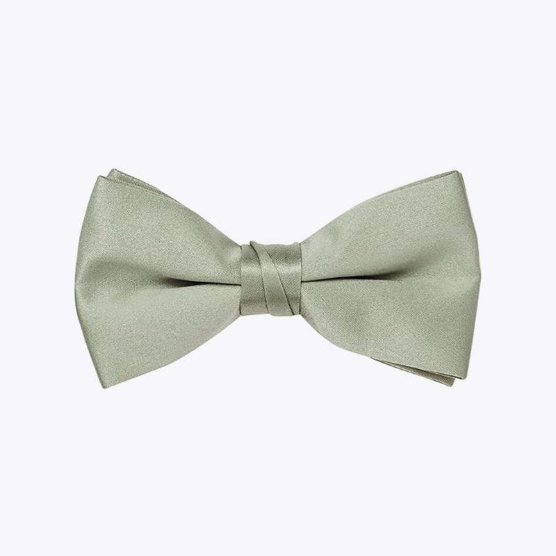 Adjustable Satin Polyester Silk Creative Print Bow Tie