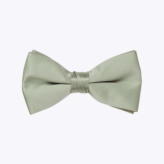 Adjustable Satin Polyester Silk Creative Print Bow Tie