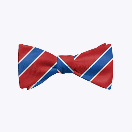 Classic blue and red striped men's polyester bow tie