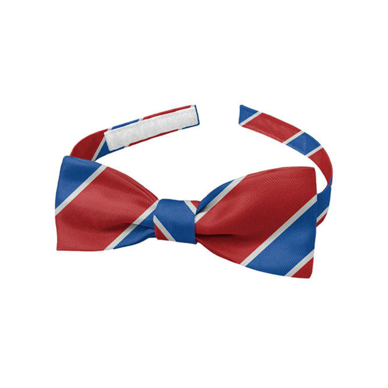 Classic blue and red striped men's polyester bow tie
