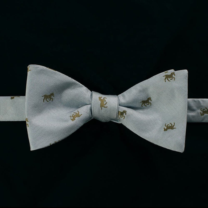 Gray blue men's tie and self tie